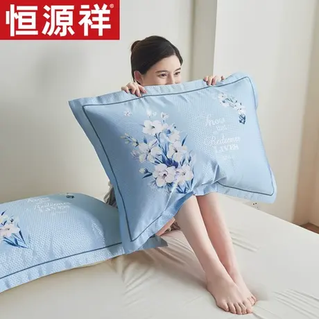 恒源祥夏凉冰丝枕套家用枕芯套一对装宿舍枕头套新款48x74cm图片