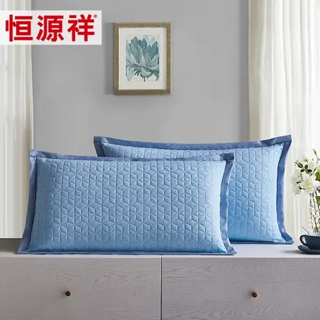 恒源祥2023新款夏季凉感丝枕套一对枕头套大号家用48x74蓝色简约商品大图